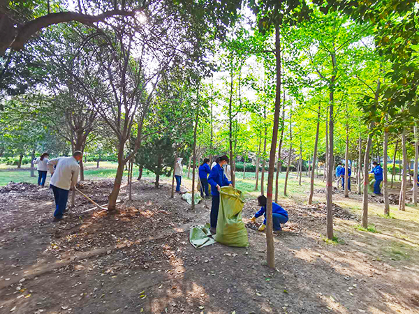 1586339122322735.jpeg ?1.jpg