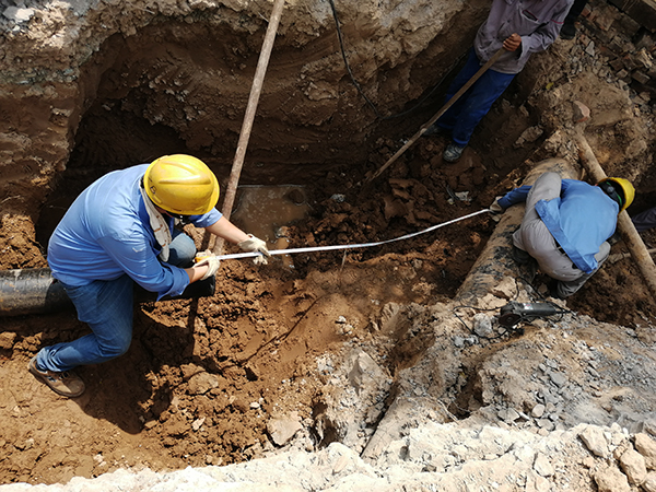 1594284760544845.jpeg 微信圖片_20200709114241.jpg