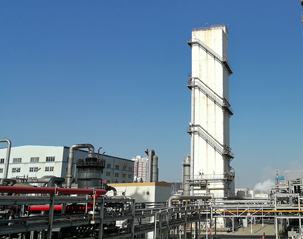 1611804020461412.jpeg 9.jpg