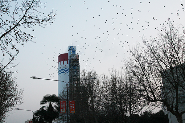 1614084342716969.jpeg IMG_0771600.jpg