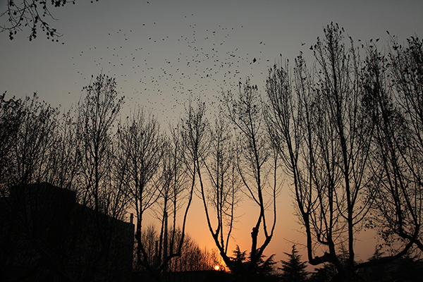 1614084373368604.jpeg IMG_0756600.jpg