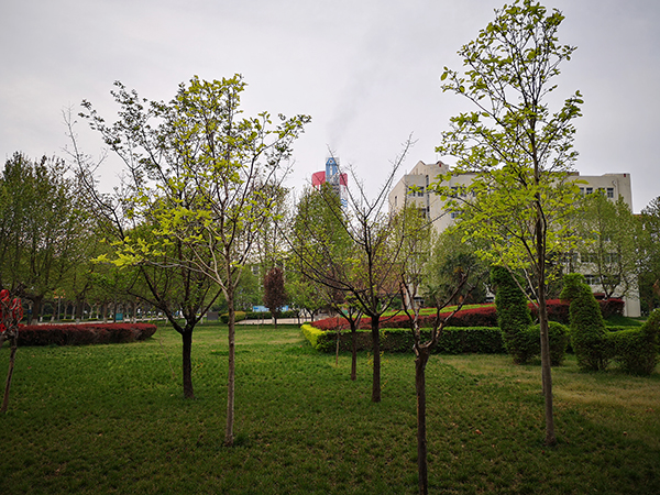 1617929385131245.jpeg 微信圖片_20210409075600600.jpg