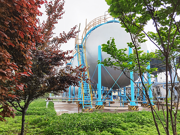 1619418118673067.jpeg IMG_20210426_075140600.jpg