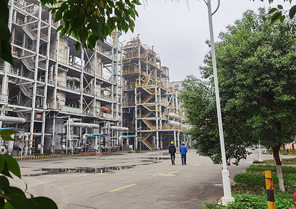 1619418164808811.jpeg IMG_20210426_080816600.jpg