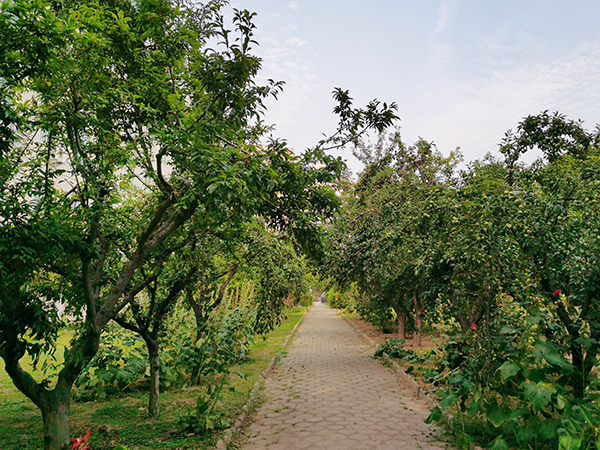 1624964937279012.jpeg 1 (2).jpg