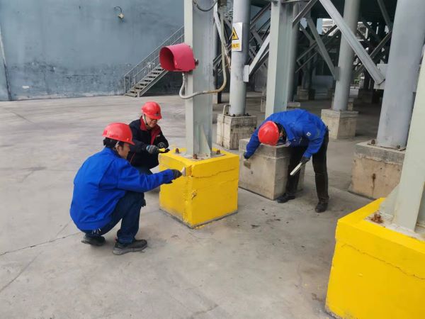 1636070506630295.jpeg 1.jpg