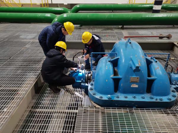 1643504268324655.jpeg 2 (1).jpg