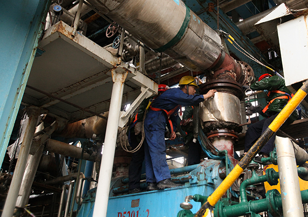 1652574651236641.jpeg IMG_0323副圖.jpg