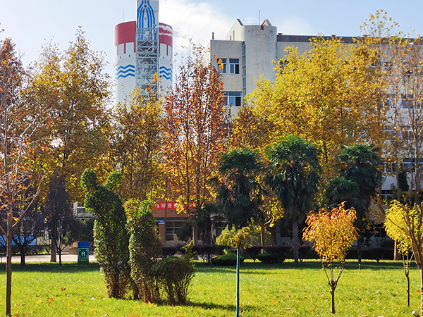 1700790916868457.jpeg 渭化初冬4.jpg