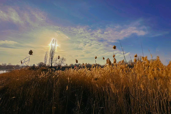 1702866426282154.jpeg d3d8d927927594987f795f79e59f160.jpg