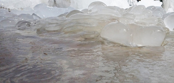 1706077694836841.jpeg 冬之精靈5.jpg