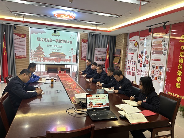 1711001827427153.jpeg 聯(lián)合黨支部召開黨員大會傳達(dá)學(xué)習(xí)全國兩會精神.jpg