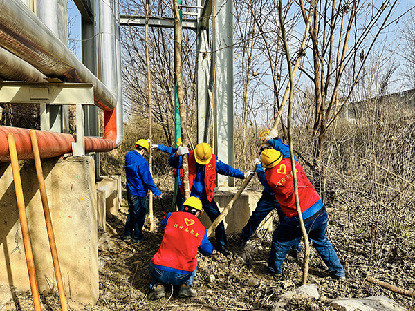 3月20日下午，物料車間黨支部開展了“清除雜草保安全 志愿服務(wù)顯擔(dān)當(dāng)”主題活動，黨員及青年志愿者清理影響管線安全的枯樹枝   600.jpg
