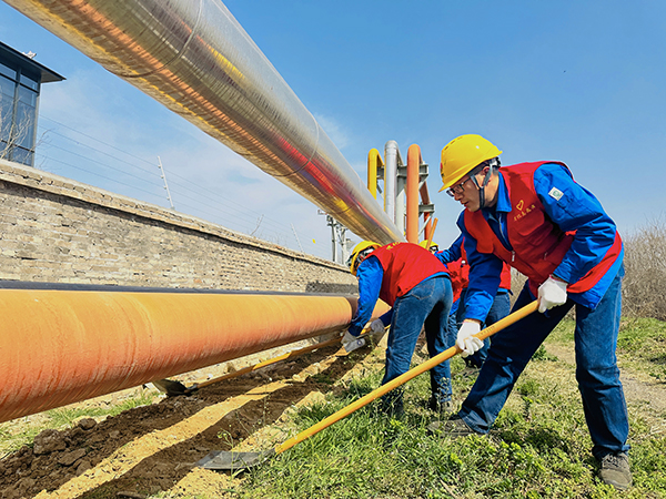 3月20日下午，物料車間黨支部開展了“清除雜草保安全 志愿服務(wù)顯擔(dān)當(dāng)”主題活動，黨員及青年志愿者清理管線底部雜草   600.jpg
