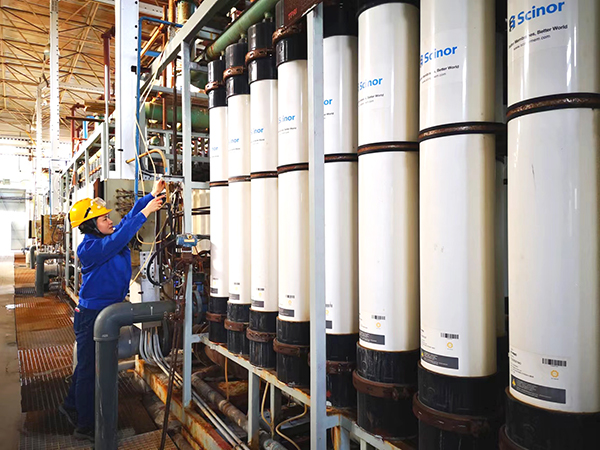 1711584440326728.jpeg 0d25b8623198de29d5c4e059302ab5f.jpg