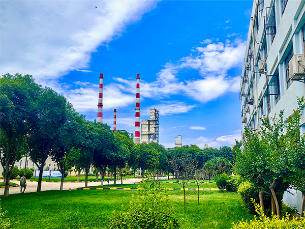 1719303657502852.jpeg 森林式工廠 600.jpg