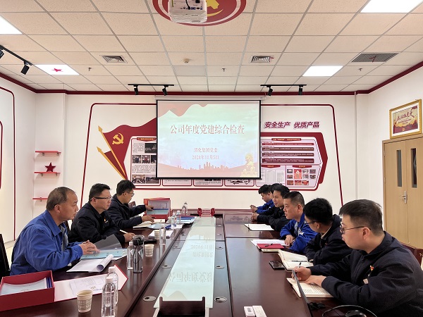 2024年11月5日，支部參加公司年度黨建檢查.jpg