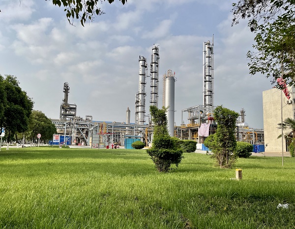 1735800179421003.jpeg 666.jpg