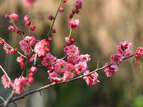 141741932551691038.jpg 微信圖片_20250314095027.jpg