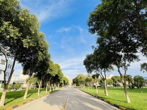 141741932947169811.jpg 景觀大道.jpg