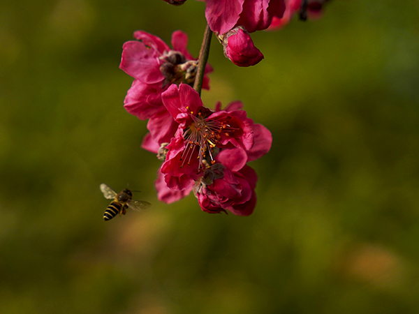 071744022087656060.jpg 2 副圖.jpg