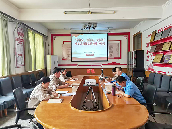4月11日，渭河塑業(yè)公司全體黨員集中學(xué)習(xí)中央八項(xiàng)規(guī)定精神.jpg