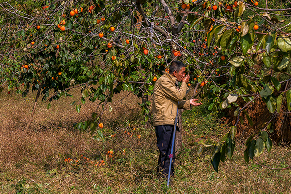 4E8A7312  副圖.jpg